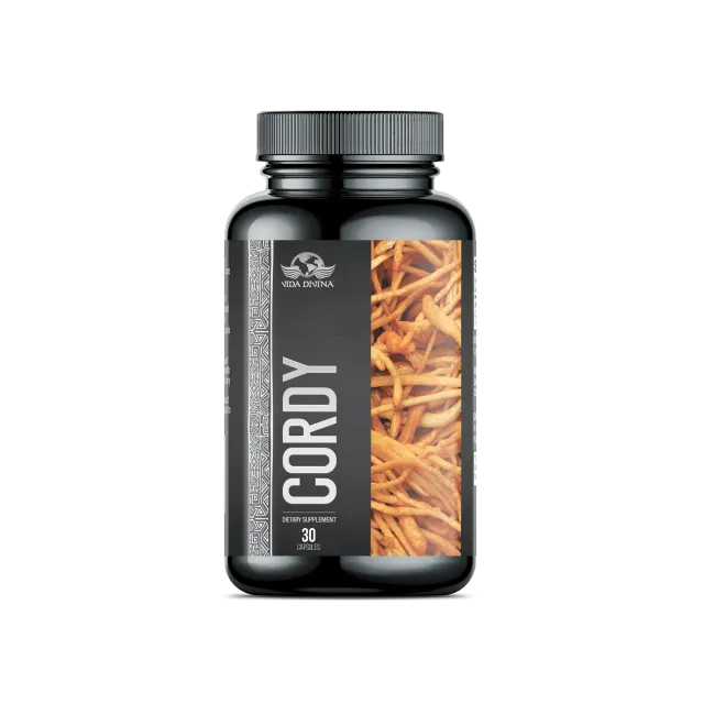 Cordy Vida Divina
